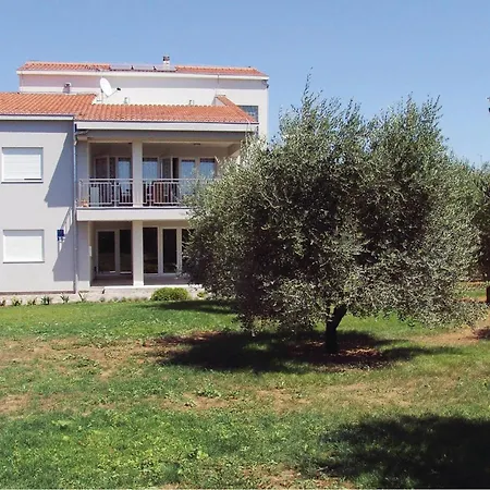 Tezacki Put V * Bibinje