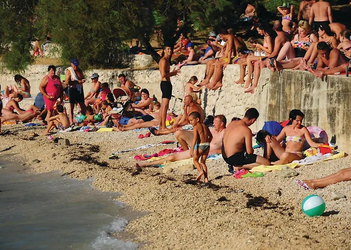 아파트 Tezacki Put V 비빈제